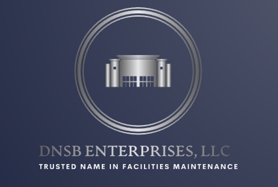 DNSB Enterprises